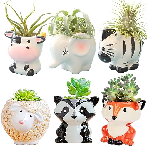 Melphoe 6 Pcs Air Plant Holders Cartoon Shaped Small Succulent Pot Animal Planter Small Ceramic Plant Pot Drainage for Mini Plant Cactus Flower, Tillandsia Air Fern, Display Stand Home, Office Desktop