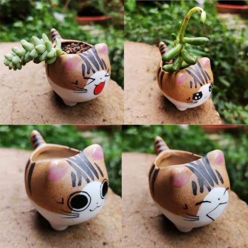 Bufanli Mini Cute Cat Cartoon Ceramic Succulent Pots Planters with Drainage Hole for Small Plants Animal Lovers Home and Office Desk Decoration Set of 5