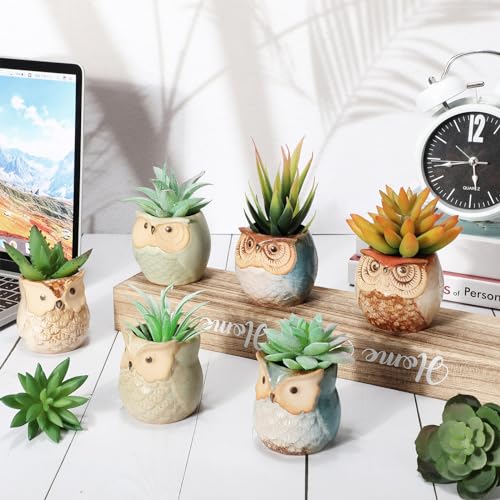 Nitial 24 Pack Owl Succulent Plant Pots Mini Owl Pot with Drainage Hole Cute Planters Small Ceramic Pots for Plants, Plants Not Included, Home Office Desk Garden Gift Ideas (Cute,2 Sizes)