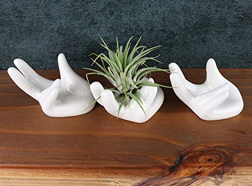 ourhommie 2 PCS Air Plant Holder Cute Ceramic Mini Hand Shape Stand Airplants Tillandsia Small Container Pot Plant Decorative Home Decor for Desk Table Shelf Window, White