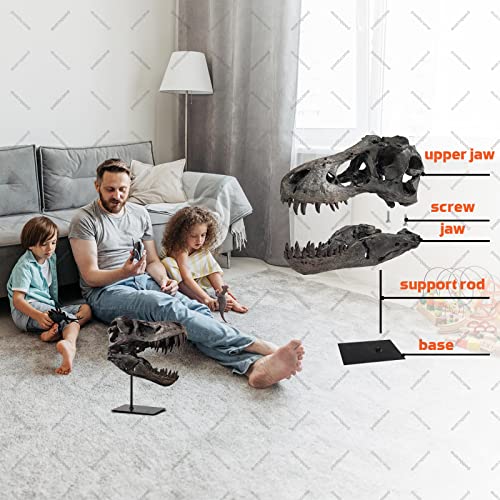 pombconw T Rex Skull, Dinosaur Statue Resin Replica Head Sculptures, Home Office Decorations on Shelf Table Desk Bookshelf, Birthday Party Gift for Kids and Adults,11.8 inch