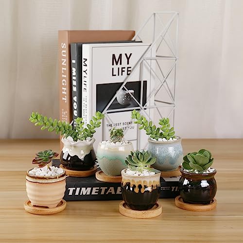 T4U Small Ceramic Succulent Pots with Drainage Set of 12, Mini Pots for Plants, Succulent Plant Gifts for Women, Tiny Air Plant Flower Pots Cactus Faux Plants Containers, Home and Office Decor