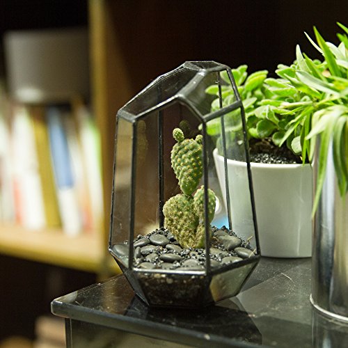 NCYP Small Irregular Geometric Terrarium - 4.1" x 3.5" x 5.9" - Miniature Glass Terrarium Planter for Succulent Air Plants - Tabletop Garden Display Container, Black (No Plants)