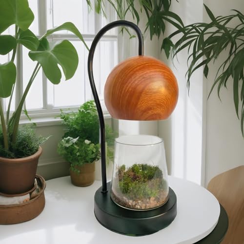 Tiny Plant Terrarium Modern Style Wood Grain DIY Kit Terrarium with Light for Succulent, Moss, Ferns Household Plant Tabletop Decoration Gardening Landscape Desk Lamp for Gardening Starter, Adults