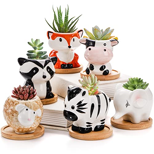 Pumtus 6 Pack Small Succulent Pots with Drainage Hole, 3 Inch Cute Ceramic Animal Planter with Saucer, Unique Air Plant Holder, Desktop Plant Flower Pot for Indoor Plants, Cactus, Garden, Home Decor