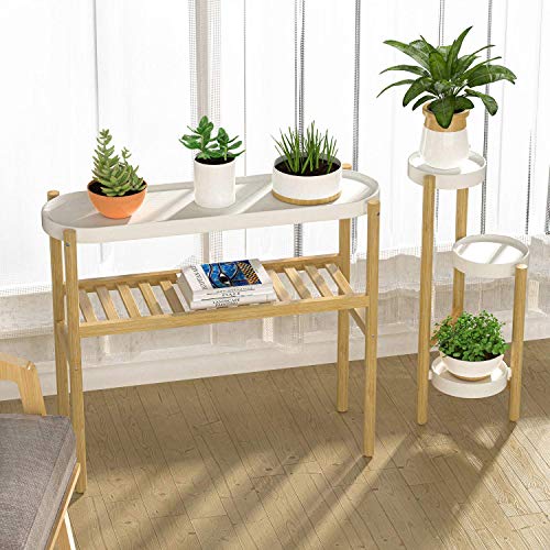 Wisuce Bamboo Shelf Indoor, 2 Tier Window Tall Stand Table for Multiple Plants…