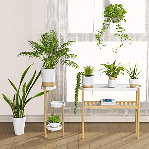 Wisuce Bamboo Shelf Indoor, 2 Tier Window Tall Stand Table for Multiple Plants…