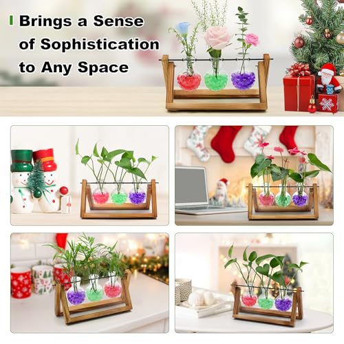 Plant Propagation Station with Wooden Stand,Plant Decor Birthday Gifts for Women,Christmas Planter Gifts for Plant Lovers,Plant Terrarium for Home Office Christmas Decor,Window Sill Decor-3 Bulb Vases