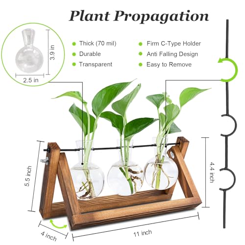 Renmxj Plant Propagation Station, Plant Terrarium with Wooden Stand, Unique Gardening Birthday Gifts for Women Plant Lovers, Home Office Garden Decor Planter - 3 Bulb Glass Vases