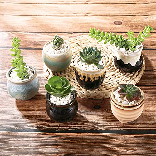 T4U Small Ceramic Succulent Pots with Drainage Set of 12, Mini Pots for Plants, Succulent Plant Gifts for Women, Tiny Air Plant Flower Pots Cactus Faux Plants Containers, Home and Office Decor