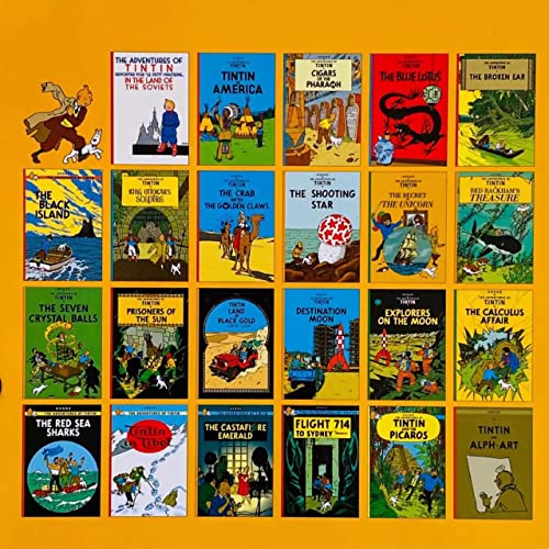 The Adventure of Tintin Collection Book Box Set All Original 23 Full Sized Titles Box Set