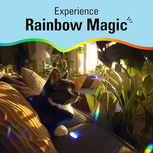 Kikkerland Solar Powered Rainbow Maker with Single Crystal, Solar-Powered Toy, Rainbow Prisms, Fun Educational Science, Window Home Decor Decoration