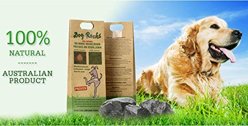 Dog Rocks Dog Pee Grass Neutralizer for Green Grass in 3-5 Weeks | Dog Grass Saver Rock | 100% Natural Urine Neutralizer for Lawn, Grass and Hedges | Grass Savers for Dog Urine | 600g, 6 Month Supply