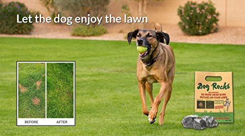 Dog Rocks Dog Pee Grass Neutralizer for Green Grass in 3-5 Weeks | Dog Grass Saver Rock | 100% Natural Urine Neutralizer for Lawn, Grass and Hedges | Grass Savers for Dog Urine | 600g, 6 Month Supply