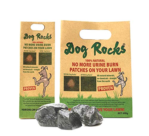 Dog Rocks Dog Pee Grass Neutralizer for Green Grass in 3-5 Weeks | Dog Grass Saver Rock | 100% Natural Urine Neutralizer for Lawn, Grass and Hedges | Grass Savers for Dog Urine | 600g, 6 Month Supply