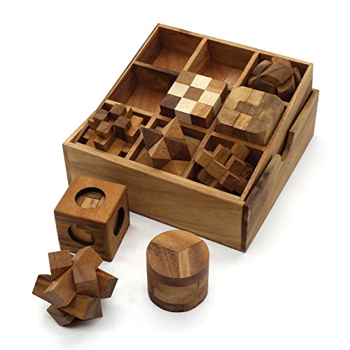 BSIRI 9 Puzzles in a Box - Wooden Brain Teaser Puzzles, 3D Puzzles for Adults, Educational Kids Games, Mind Puzzles for Adults and Brain Games for Kids, Ideal for Birthday Gifts and Patio Decor