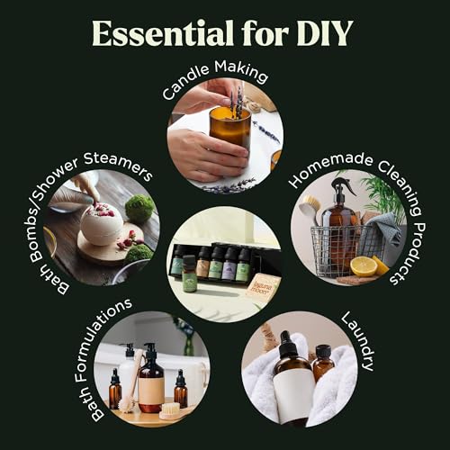 Essential Oils Set - Top 6 Blends for Diffusers, Home Care, Candle Making Scents, Fragrance, Aromatherapy, Humidifiers, Gifts - Peppermint, Tea Tree, Lavender, Eucalyptus, Lemongrass, Orange (10mL)