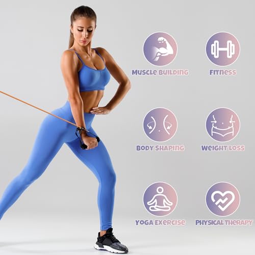 RitFit Single Resistance Exercise Band with Comfortable Handles - Ideal for Physical Therapy, Strength Training, Muscle Toning - Door Anchor and Starter Guide Included (Rose Pink(10-15lbs))