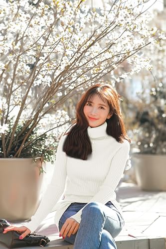 v28 Women Stretchable Turtleneck Knit Long Sleeve Slim Fit Sweater (S,White)