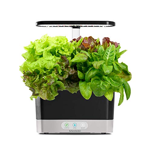 AeroGarden Harvest with Gourmet Herb Seed Pod Kit - Hydroponic Indoor Garden, Black