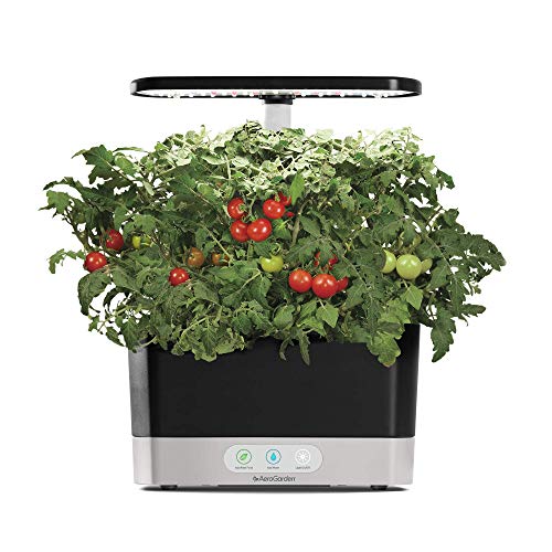 AeroGarden Harvest with Gourmet Herb Seed Pod Kit - Hydroponic Indoor Garden, Black