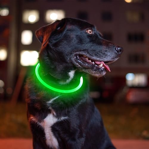 Led Dog Collar, BSEEN USB Rechargeable Flash Dog Necklace Light, Pet Safety Collar Makes Your Beloved Dogs Be Seen at Night for Small Medium Large Dogs