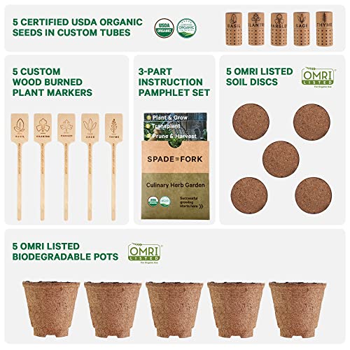 Organic Herb Garden Kit Indoor - Certified Organic & Made in USA | Herb Plants for Women and Men, Indoor Herb Garden Starter Kit, Herb Growing Kit Indoor, Plant Growing Kit, Herb Starter Kit Plant Kit