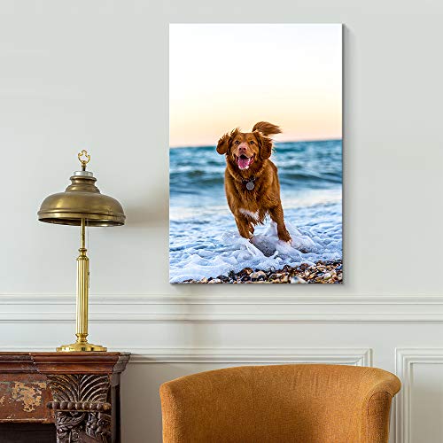 NWT Custom Canvas Prints with Your Photos for Pet/Animal, Personalized Canvas Pictures for Wall to Print Framed 14x11 inches