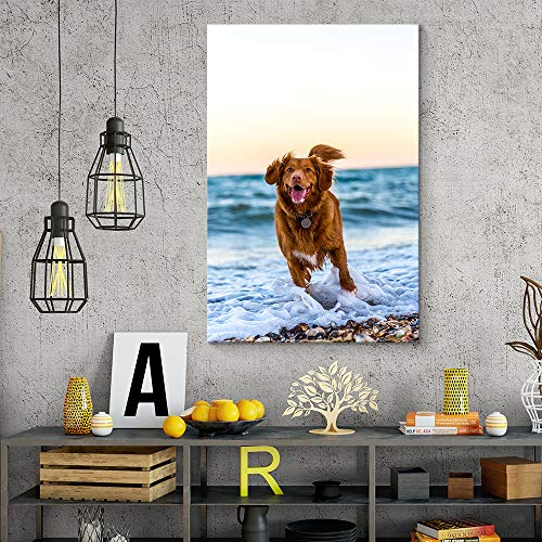 NWT Custom Canvas Prints with Your Photos for Pet/Animal, Personalized Canvas Pictures for Wall to Print Framed 14x11 inches