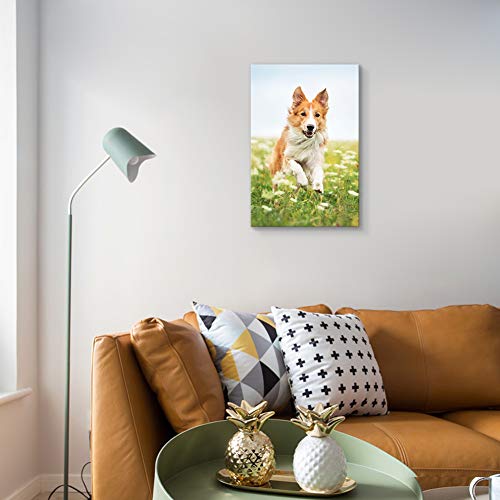 SIGNFORD 18"x12" Custom Canvas Prints, Pets Personalized Poster Wall Art with Your Photos Wood Frame Digitally Printed