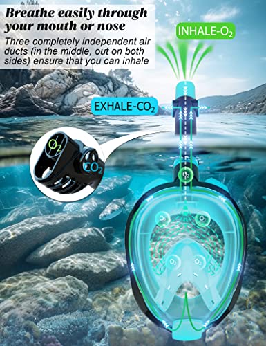 W WSTOO Full Face Snorkel Mask,Snorkeling Gear for Adults to Breathe Through Mouth or Nose,180 Degree Panoramic View,Anti-Fog Anti-Leak with Camera Mount,Best Gift for Summer Holiday Travelers