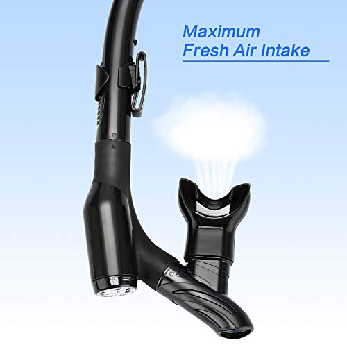 Snorkel Set, Anti-Fog Panoramic View Snorkel Mask and Anti-Leak Dry Snorkel Tube, Snorkeling Gear for Adults, Snorkel Kit Bag Included