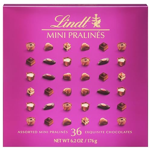 Lindt Mini Pralines, Assorted Chocolate Pralines with Premium Filling, Great for gift giving, 6.2 oz Box