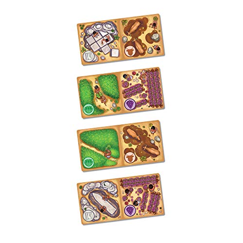 Fertility Board Game | Ancient Egyptian Civilization Building Game | Strategy Board Game for Adults and Kids | Ages 10+ | 2-4 Players | Average Playtime 45 Minutes | Made by Catch Up Games