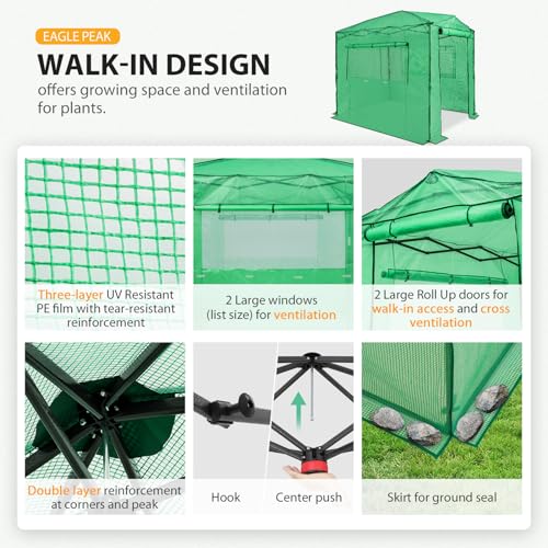 EAGLE PEAK 8x6 Portable Walk-in Greenhouse, Pop-up Indoor Outdoor Garden Green House, Zippered Doors and Windows, PE Cover, Green