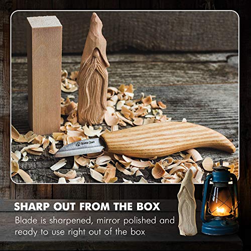 BeaverCraft Whittling Kit for Beginners, Wood Carving Kit for Beginners - Wood Carving Tools Woodworking Kit for Adults and Teens - Whittling Knife Kit with Wood Blocks - Wood Carving Set DIY03 Wizard