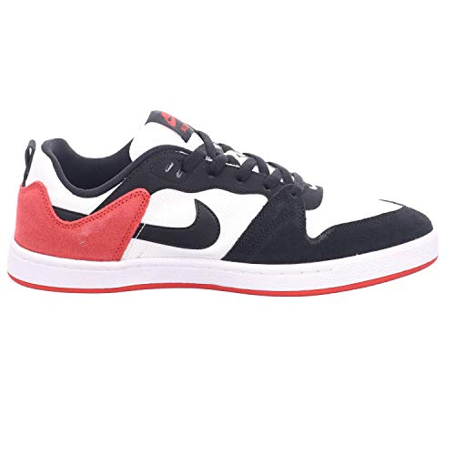 Nike mens SB Alleyoop