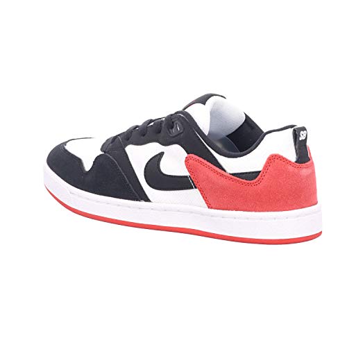 Nike mens SB Alleyoop