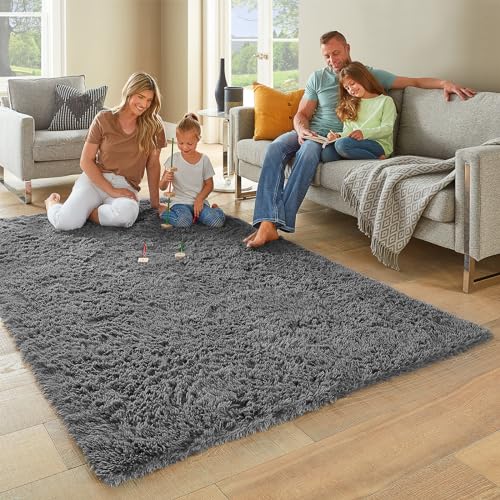 Ophanie Area Rugs for Bedroom Living Room, Grey Fluffy Fuzzy Shag Shaggy Carpet Soft Plush Furry Bedside Rug, Indoor Floor 4x6 Rug for Kids Girls Boys Home Decor Aesthetic, Dorm Nursery Gray