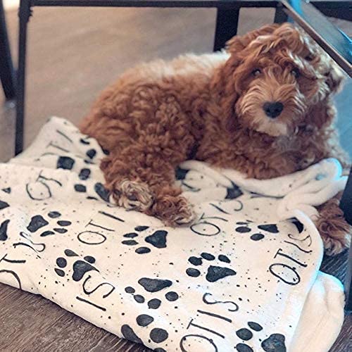 Personalized Paw Print Dog Blanket With Pets Name