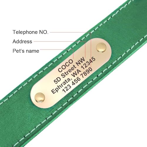 Didog Genuine Leather Dog Collars with Engraved Nameplate, Personalized Soft Leather Collar with Custom ID Tag, Brown/Green/Red for Medium Large Dogs (M,Green)