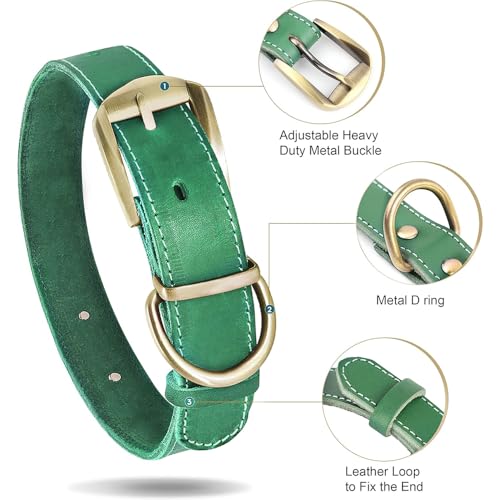 Didog Genuine Leather Dog Collars with Engraved Nameplate, Personalized Soft Leather Collar with Custom ID Tag, Brown/Green/Red for Medium Large Dogs (M,Green)