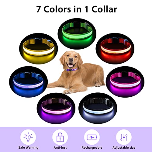 PcEoTllar Light up Dog Collar for Night Walking - LED Dog Collar Light Rechargeable Color Changing, Glow in The Dark Dog Collars Waterproof Glowing Dog Collars for Large Small Medium Dogs