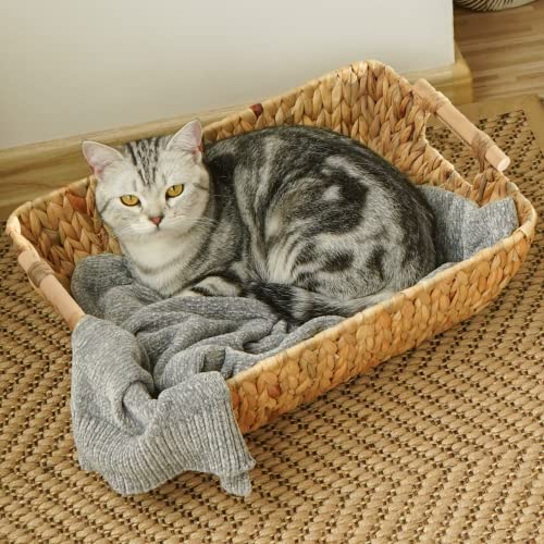 StorageWorks Hand-Woven Jumbo Storage Baskets with Wooden Handles, Water Hyacinth Wicker Baskets for Organizing, 2 Pack