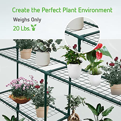 VIVOSUN 57x57x77-Inch Transparent Mini Walk-in Green House with Window and Anchor, Plant Garden Hot House 2 Tiers 8 Shelves, 4.7 x 4.7 x 6.4 FT