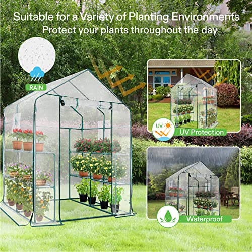 VIVOSUN 57x57x77-Inch Transparent Mini Walk-in Green House with Window and Anchor, Plant Garden Hot House 2 Tiers 8 Shelves, 4.7 x 4.7 x 6.4 FT