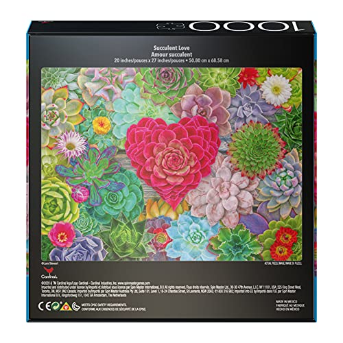 2-Pack of 1000-Piece Jigsaw Puzzles, Succulents & Rocks and Minerals | Puzzles for Adults and Kids Ages 8+, Amazon Exclusive