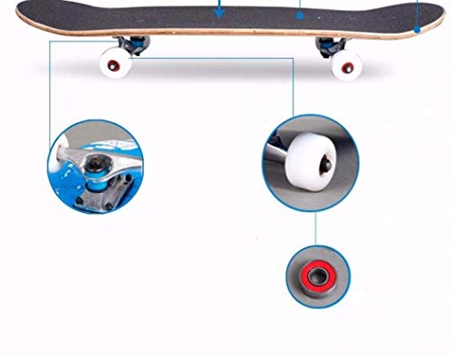 Complete Skateboards for Beginners Pro 31 inches Complete Skateboards for Teens Beginners Girls Boys Kids Adults, Maple Wood Skateboard