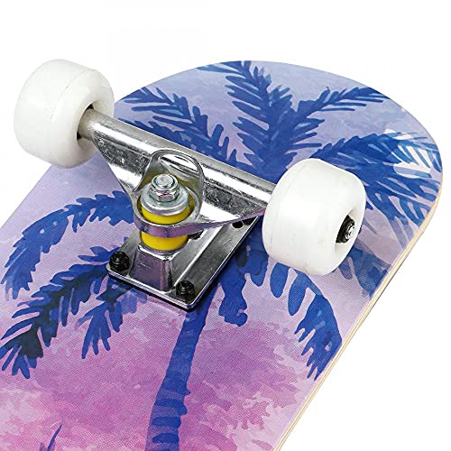 Complete Skateboards for Beginners Pro 31 inches Complete Skateboards for Teens Beginners Girls Boys Kids Adults, Maple Wood Skateboard