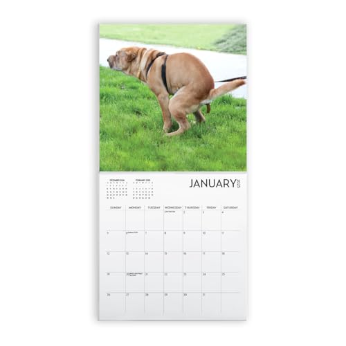 Dog Pooping Calendar 2024, 12 x 12 inch, Funny Gift, White Elephant, Gag Gift, Secret Santa